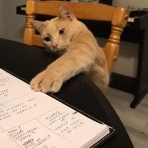 Meet your Posher, Caroline